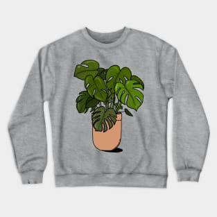 Planty the monstera- this time in colour Crewneck Sweatshirt